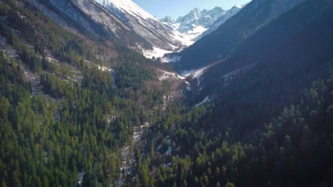 早春的山峡谷，有针叶树和积雪覆盖的山峰