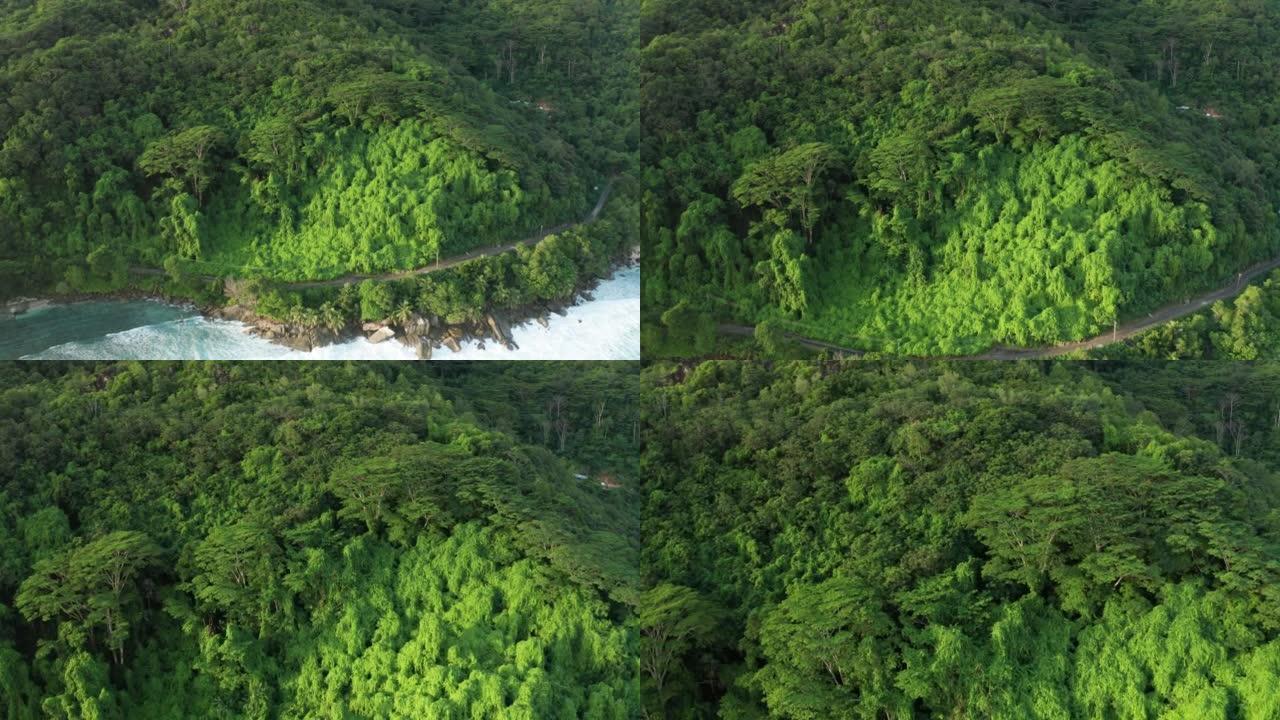 在海岸海洋上的侵入葛藤的绿色毯子上的空中摄影车