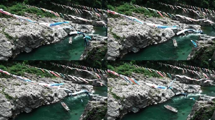 德岛县三好市的旅游景点，ō ashi峡谷的鲤鱼攀爬和观光船
