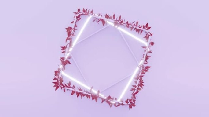 紫色背景循环视频-霓虹灯库存视频中的轻常春藤叶