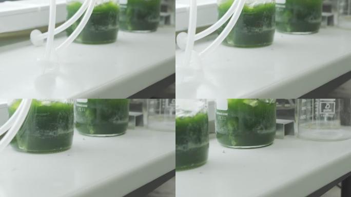 实验室柜台上冒泡的绿色液体烧杯