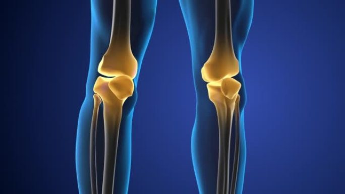 膝关节疼痛医学背景
