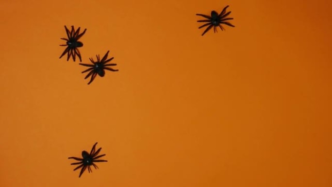 在橙色背景上爬行的塑料蜘蛛。万圣节定格动画。顶视图