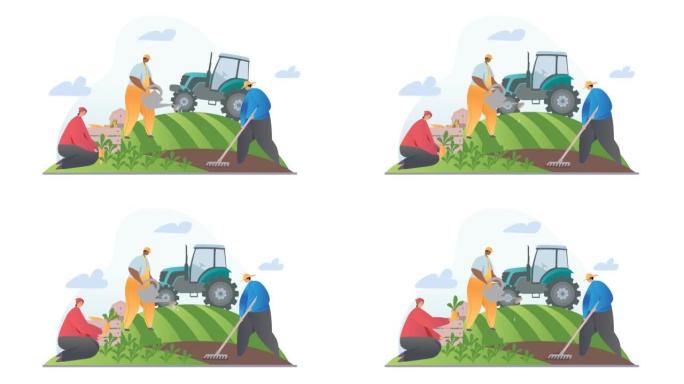 农业和种植当地食品视频概念