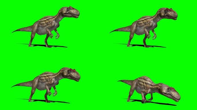 绿色屏幕上的恐龙