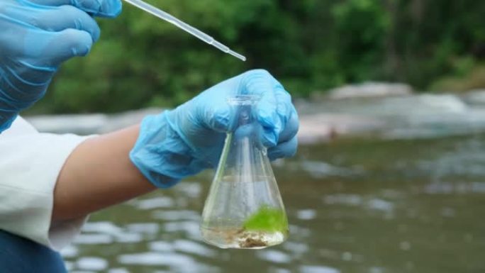 戴着手套的女性环保主义者会抽取河水样本进行检查和测试是否感染。女研究员调查自然水体中的污染物。水与生
