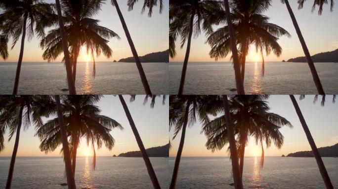 全景椰子棕榈树橙色天空山背景。暑假时间。