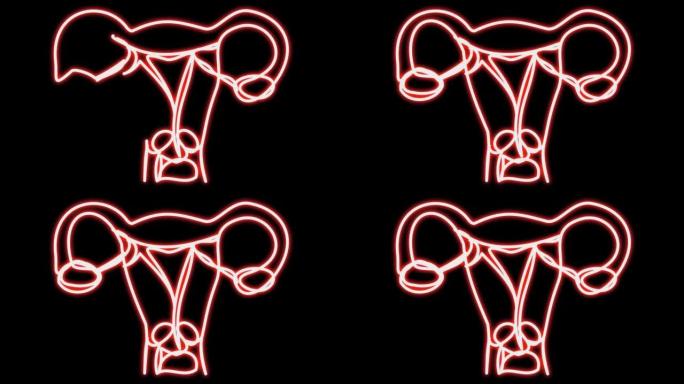 女性生殖器官自画的霓虹动画。