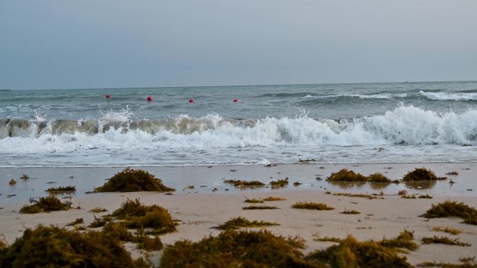 三亚大东海旅游区沙滩上浪花拍打海草上岸