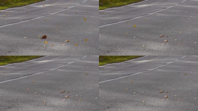 黄色的落叶躺在柏油路上。一辆汽车驶过，一阵风吹走了树叶
