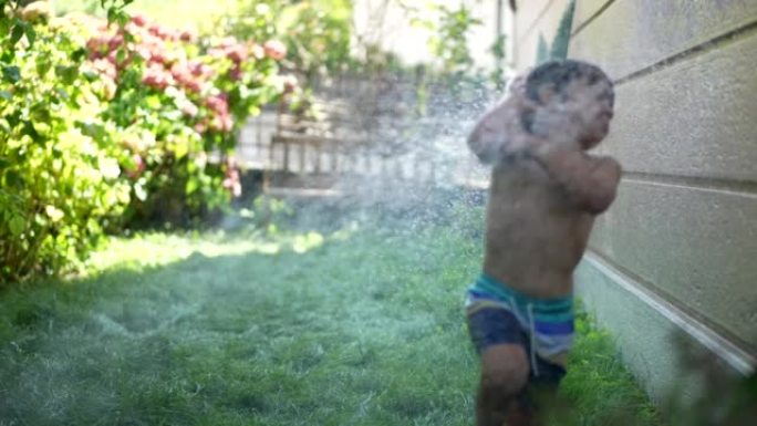 潮湿的小男孩在炎热的夏天在家庭花园向孩子喷水