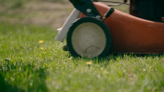 低角度: 在阳光明媚的日子里，电动割草机被推挤在杂草丛生的草坪上