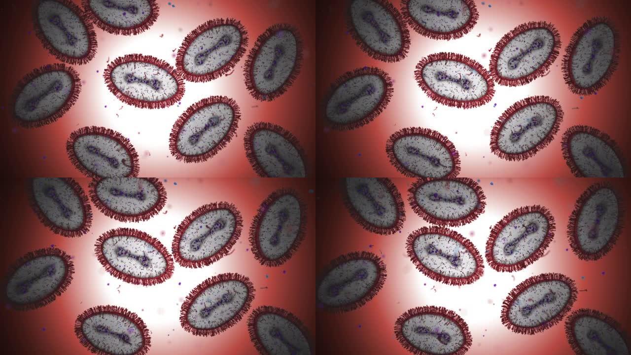 猴痘细胞。显微镜载玻片。高清