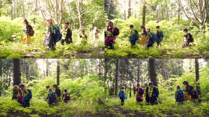 这群小孩子去树林里远足。来自野生幼儿园的孩子们一起在森林山脉的小径上行走。持久的小型学前班户外徒步旅