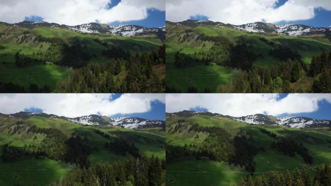 欧洲的绿色阿尔卑斯山乡村，在法国，向博福特，在阿尔卑斯山，在夏天，在一个阳光明媚的日子。