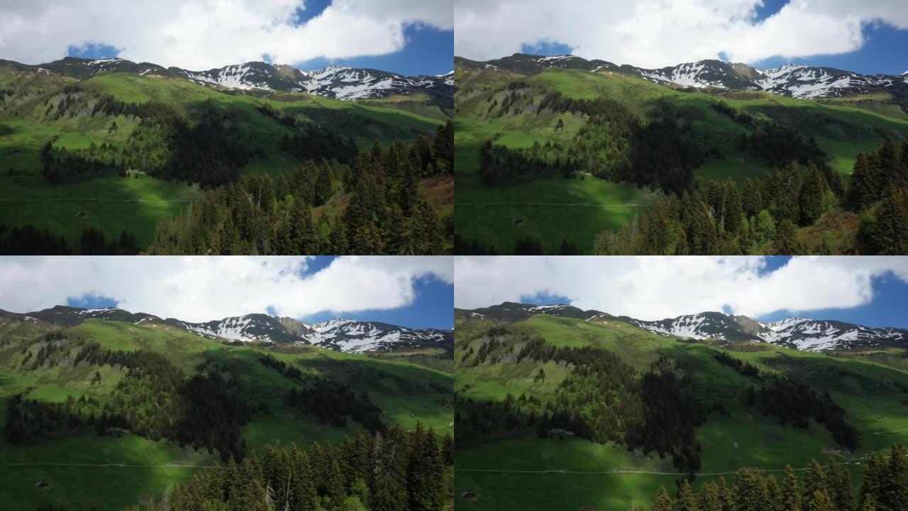 欧洲的绿色阿尔卑斯山乡村，在法国，向博福特，在阿尔卑斯山，在夏天，在一个阳光明媚的日子。