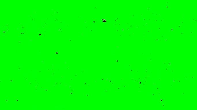 成群的苍蝇在绿色屏幕上飞行