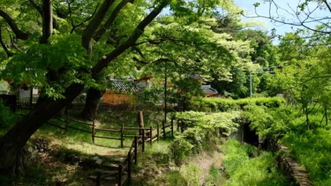 韩国首尔有绿色森林的恩平韩屋村