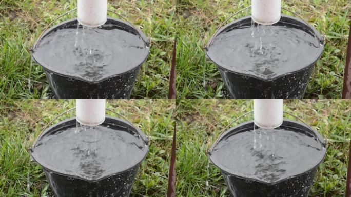 雨水从排水管中倒入水桶