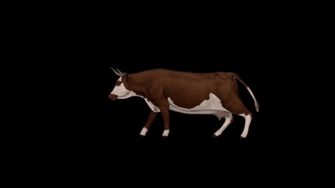 牛跑侧视图