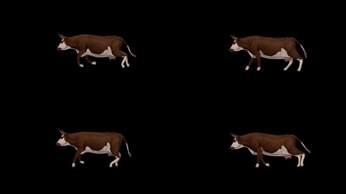 牛跑侧视图