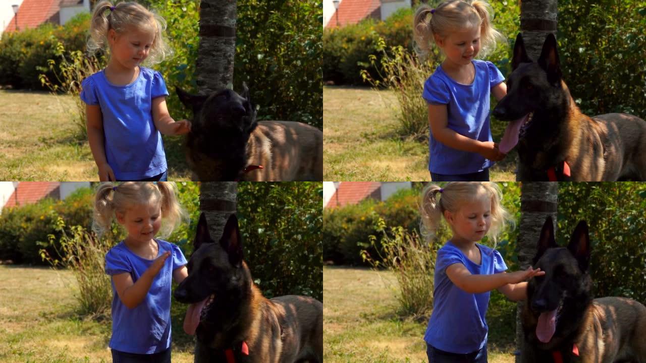 可爱的金发小女孩在户外爱抚一只比利时牧羊犬