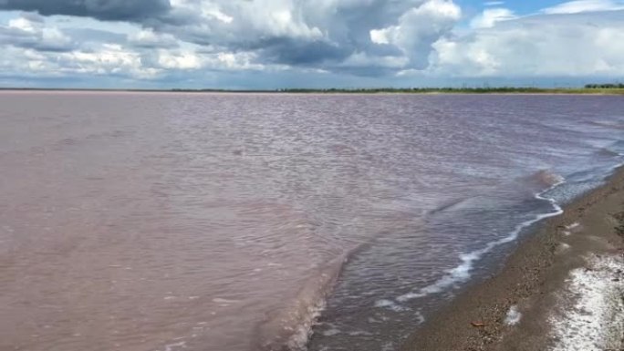 克里米亚半岛上的粉红湖Sasyk-Sivash。克里米亚半岛上最大的湖泊和盐湖。用于处理的有用泥浆
