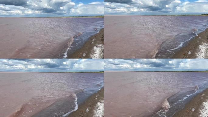 克里米亚半岛上的粉红湖Sasyk-Sivash。克里米亚半岛上最大的湖泊和盐湖。用于处理的有用泥浆
