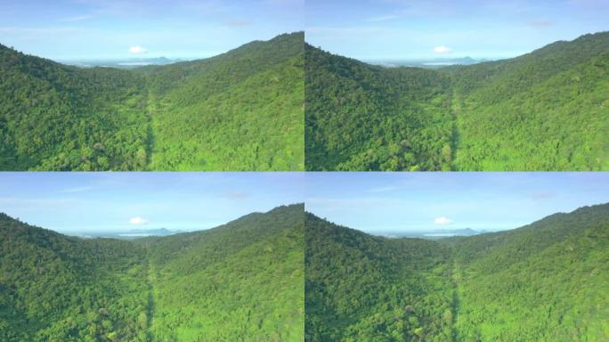 景观、森林和山脉中的高压电线杆、电力线塔的鸟瞰图