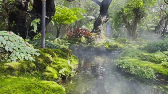 有瀑布的花园和锦鲤鱼的美丽树木令人放松和耳目一新。