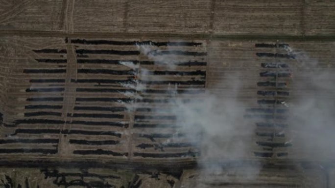 旱季农田秸秆燃烧浓烟污染空气的农业废篝火的鸟瞰图导致全球变暖，收获后与燃烧农艺田发生事故，干麦茬着火