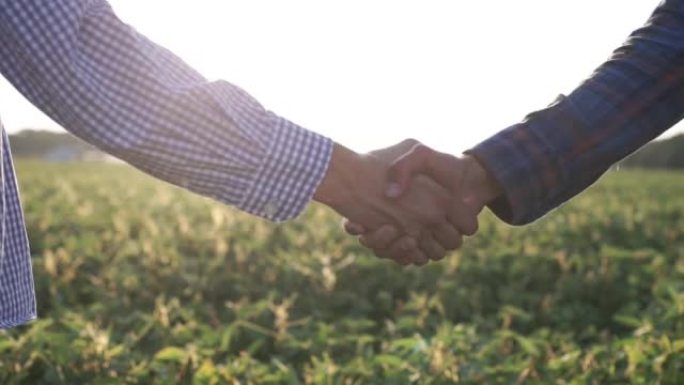 农民在绿色田野里握手。大豆田农民签约