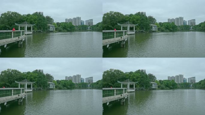春雨后广州天河公园绿树亭台楼阁与湖水。
