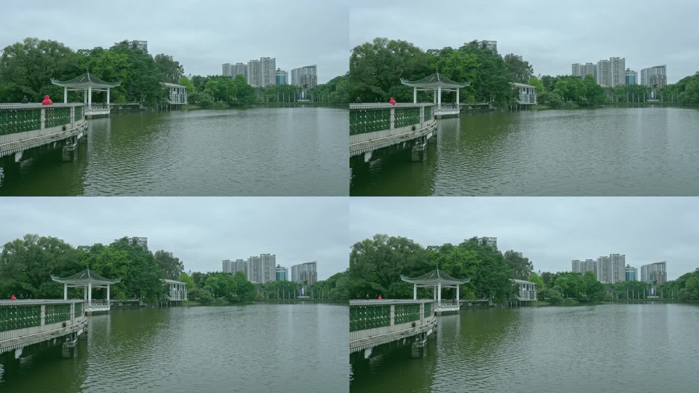 春雨后广州天河公园绿树亭台楼阁与湖水。