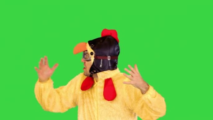 机智的艺术家穿着小鸡服装，在绿色屏幕上做了一些手势，颜色键，表达了非常情绪化的东西