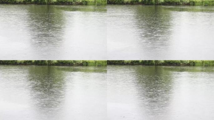 倾盆大雨中的池塘状态