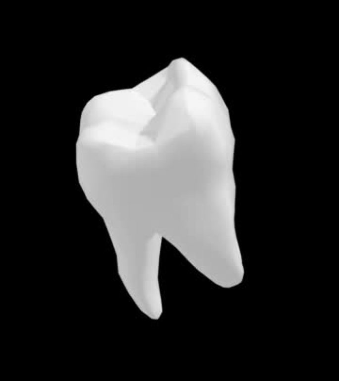 孤立的3D牙齿的旋转视图。垂直3D 4K。