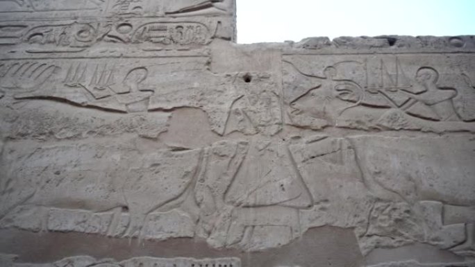 卢克索的卡纳克神庙象形文字，显示牛和人们参加了墙上刻有的节日