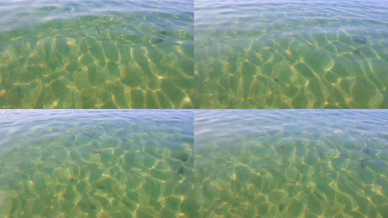 美丽的绿松石水和地中海海床与漂浮的水母。希腊。