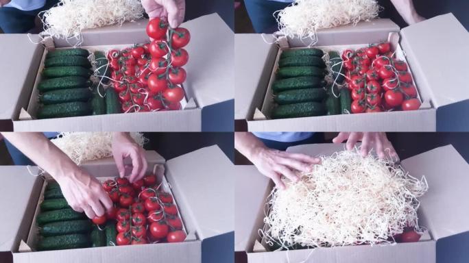 将樱桃番茄和黄瓜包装在纸板箱中，以装运给消费者