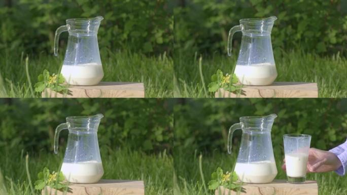 玻璃中的新鲜牛奶站在草丛中的草坪上。健康饮食，有机食品和饮料，天然产品的概念。牛奶从水罐倒入室外的玻