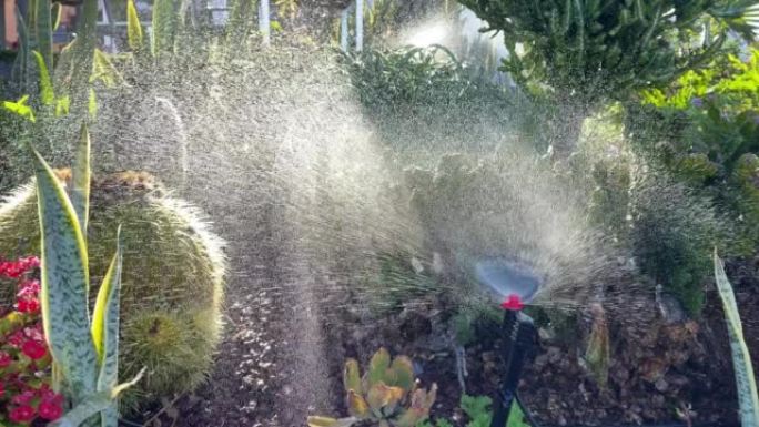 草坪灌溉系统，用于浇草和花卉的草坪洒水器。