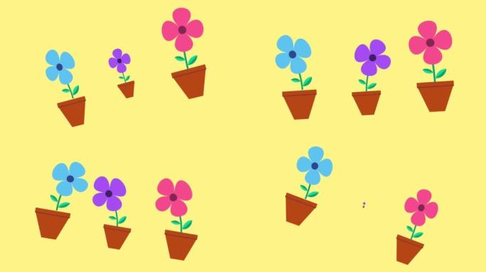 高分辨率60fps的彩色简单2d花卉动画。