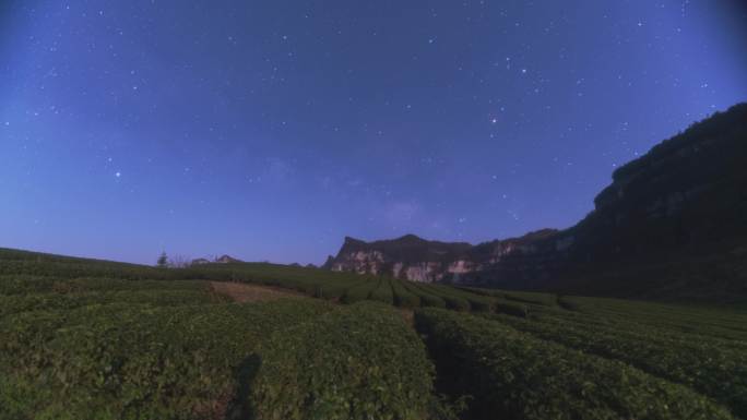 【正版原创实拍】8K武陵山区茶园星空银河