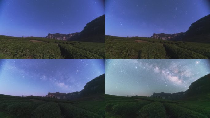 【正版原创实拍】8K武陵山区茶园星空银河
