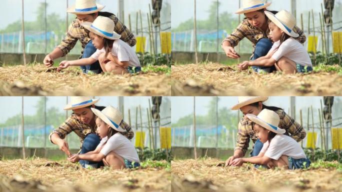 戴着草帽的年轻母亲正在后院教女儿照顾蔬菜。小女孩在花园里帮助她的母亲，一个小园丁。