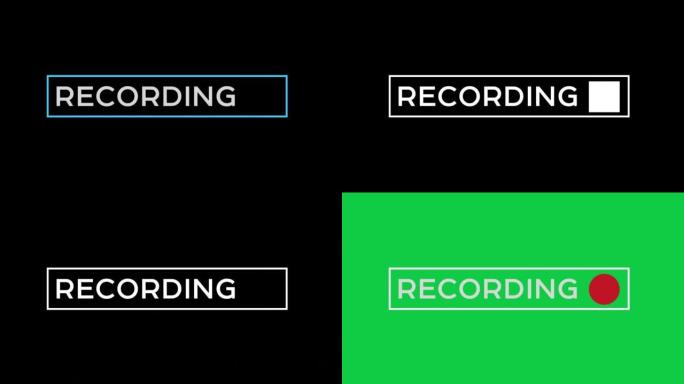闪烁红色记录按钮，电视干扰视频隔离阿尔法哑光和绿色背景