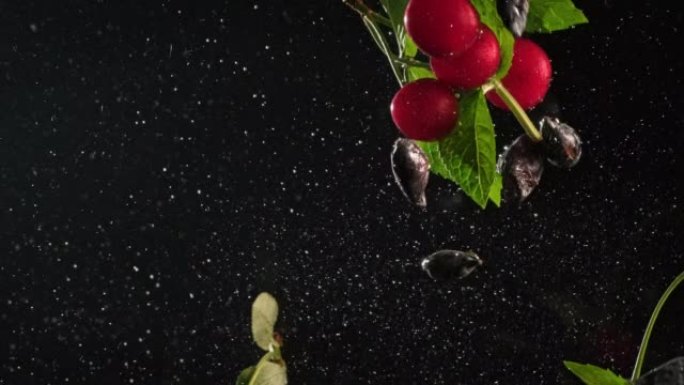 樱桃落在清水黑底孤立。红色的浆果带着绿色的叶子，在水下飞溅着气泡。有机浆果水果落入容器或水族馆健康食