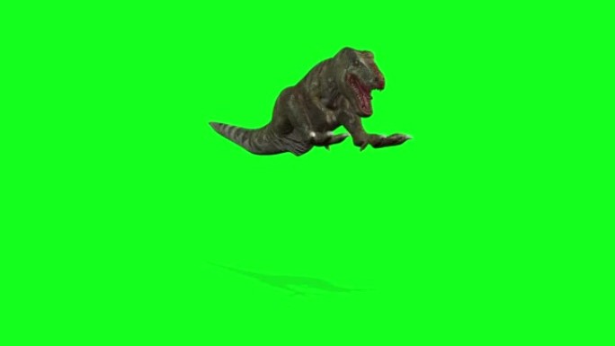 动画-在绿屏背景上行走的恐龙