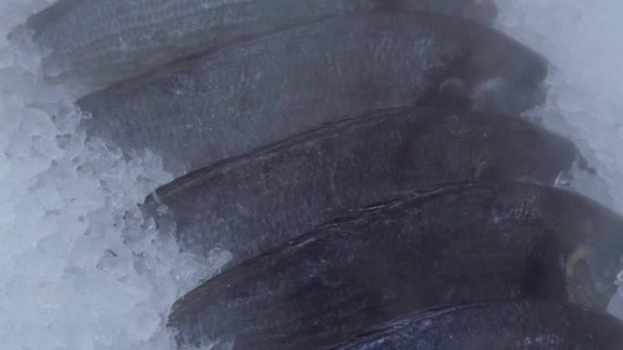 新鲜冷冻的dorado鱼在冰上特写，在鱼大卖场的货架上